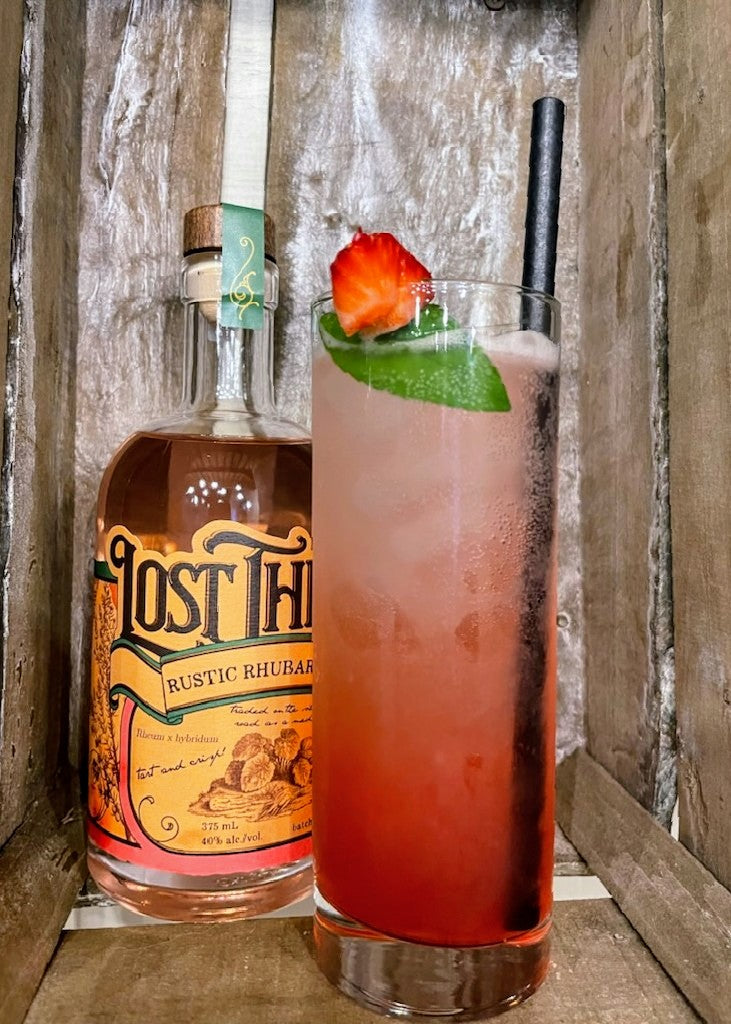 Strawberry Rhubarb Gin Spritz