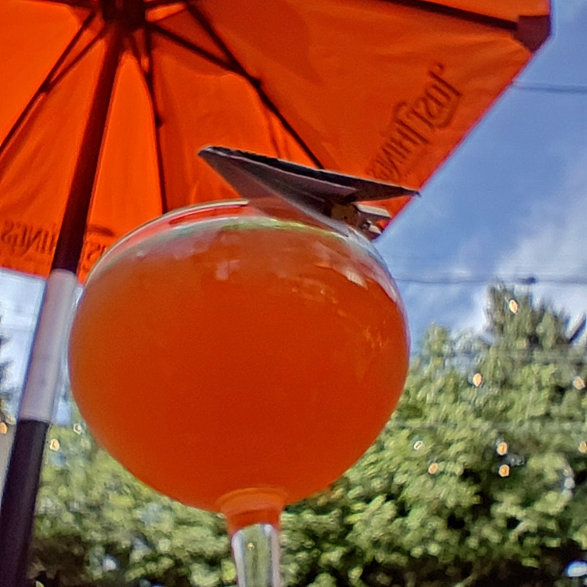 Paper Plane