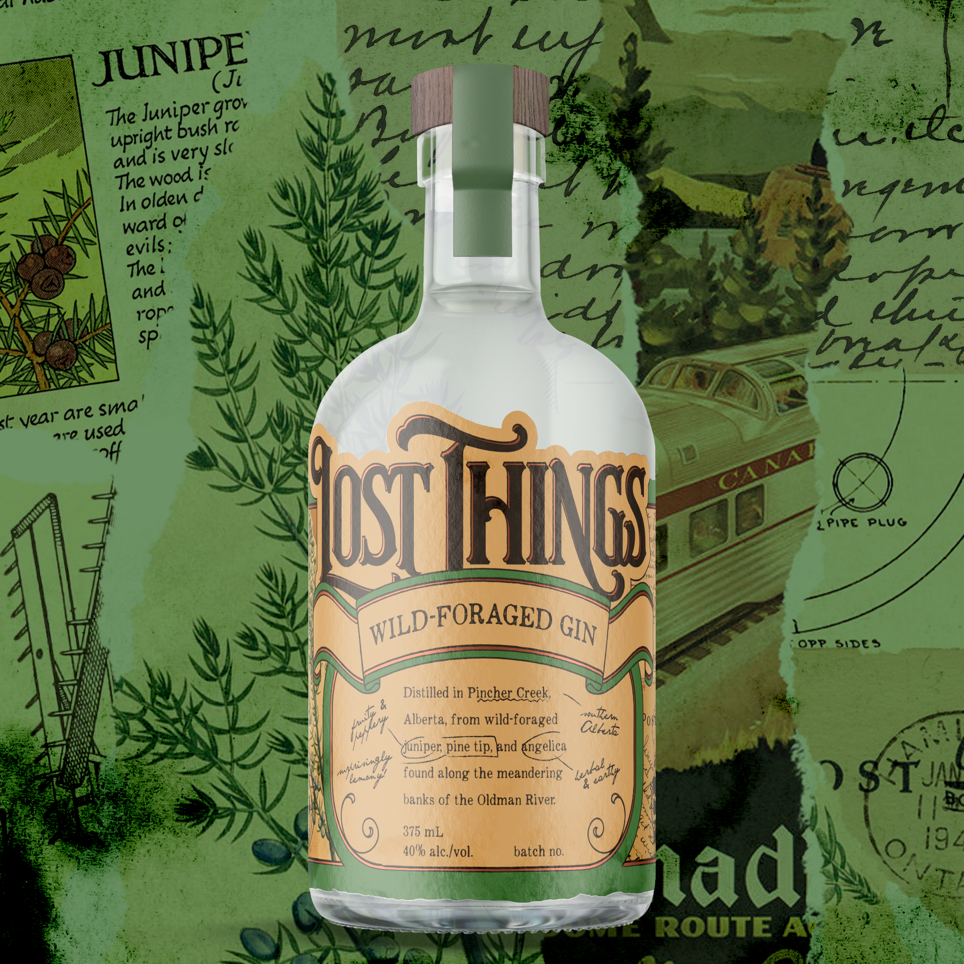 Wild Foraged Gin – Lost Things Distillery