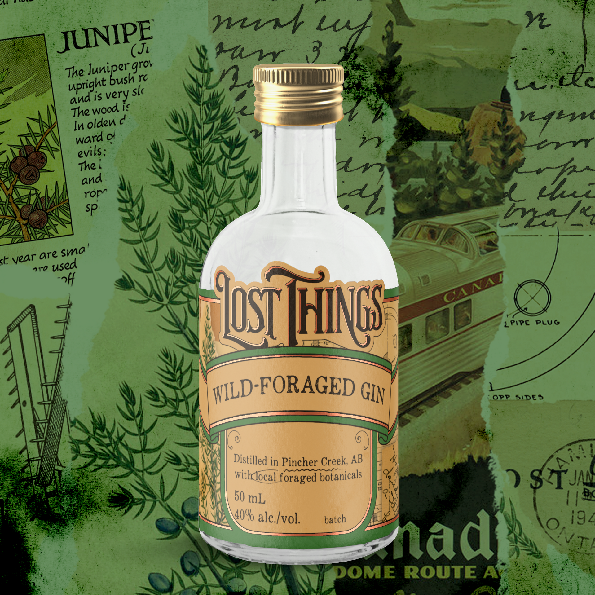 Wild Foraged Gin – Lost Things Distillery